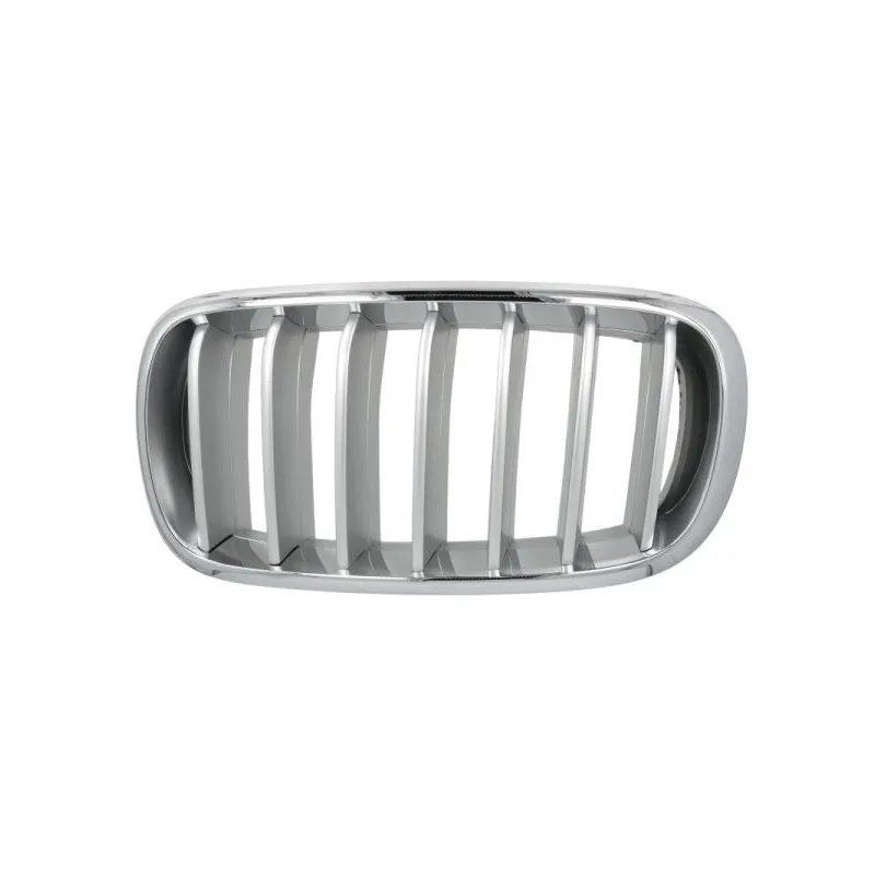 Grille de radiateur avant gauche BLIC 6502-07-00969955P