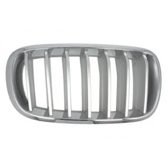 Grille de radiateur avant droit BLIC 6502-07-00969966P