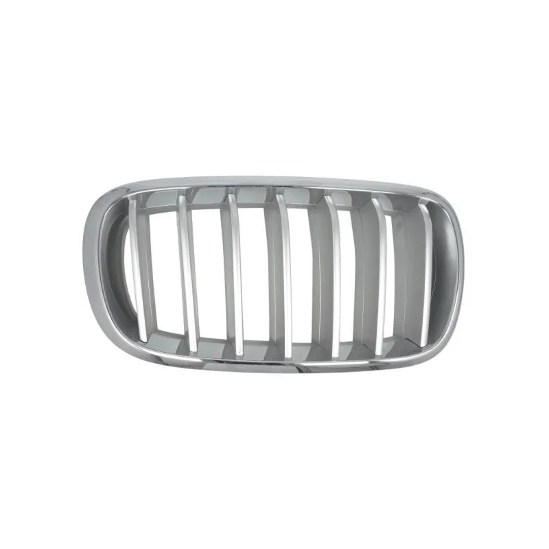 Grille de radiateur avant droit BLIC 6502-07-00969966P