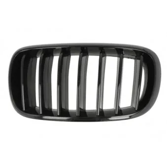 Grille de radiateur avant gauche BLIC 6502-07-00969977P