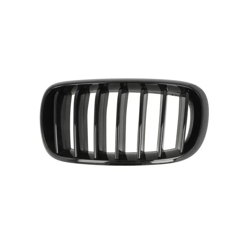 Grille de radiateur avant gauche BLIC 6502-07-00969977P