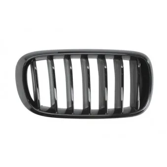 Grille de radiateur avant droit BLIC 6502-07-00969988P