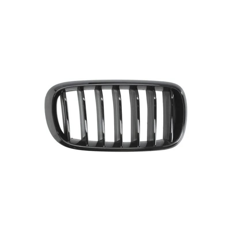 Grille de radiateur avant droit BLIC 6502-07-00969988P