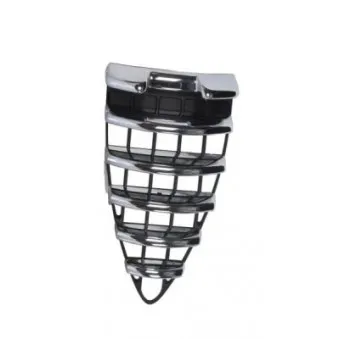 Grille de radiateur BLIC 6502-07-0109990Q