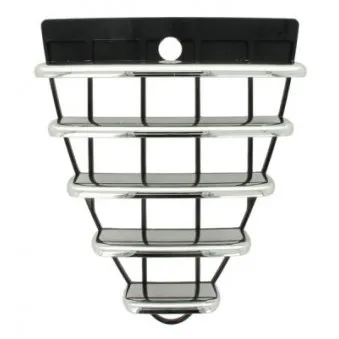 Grille de radiateur BLIC 6502-07-0109993Q