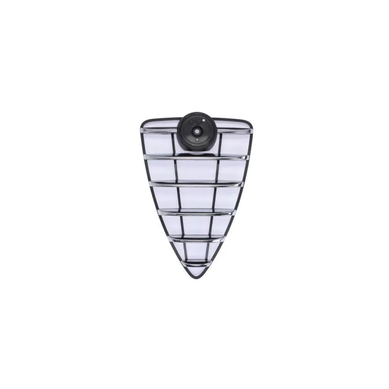 Grille de radiateur BLIC 6502-07-0110991P