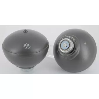 Jeu de 2 sphères CEVAM 0120