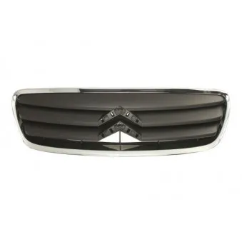 Grille de radiateur BLIC