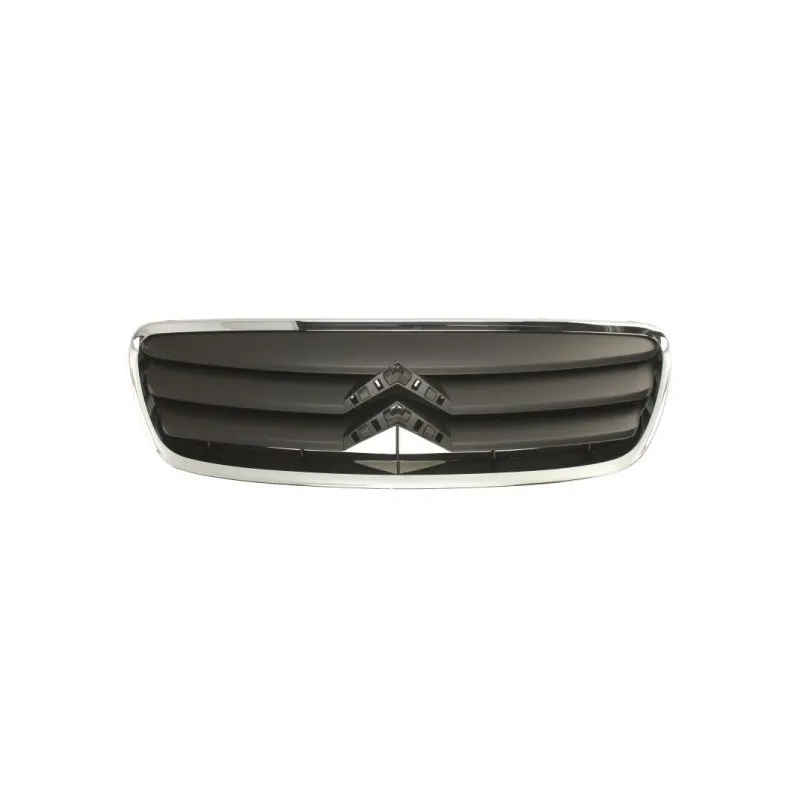 Grille de radiateur BLIC 6502-07-0511993Q