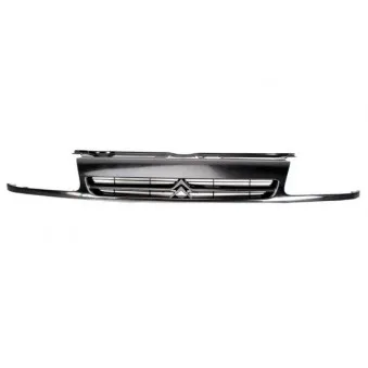 Grille de radiateur BLIC 6502-07-0518990P