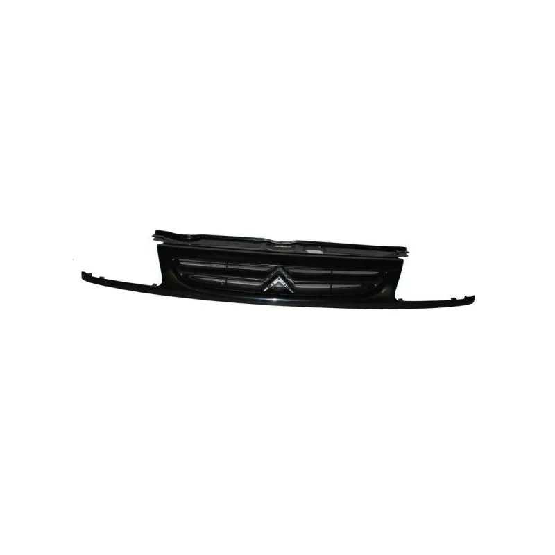 Grille de radiateur BLIC 6502-07-0518991P