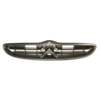 Grille de radiateur BLIC 6502-07-0518992P