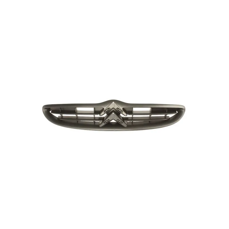 Grille de radiateur BLIC 6502-07-0518992P