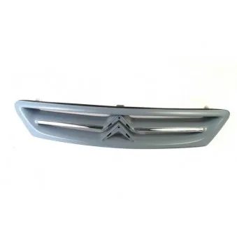 Grille de radiateur BLIC 6502-07-0535990P