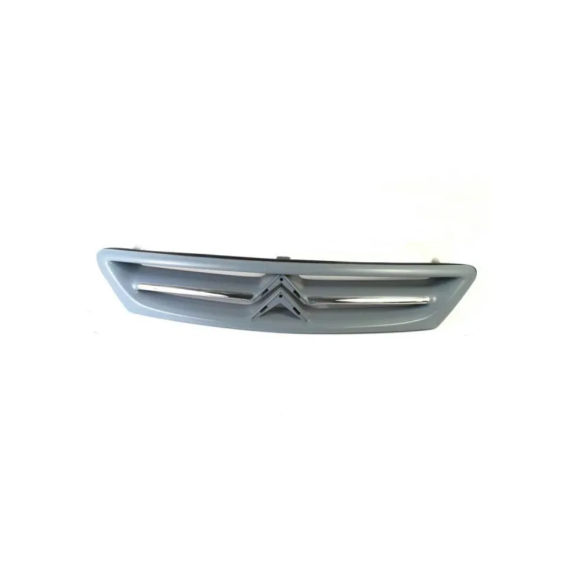 Grille de radiateur BLIC 6502-07-0535990P