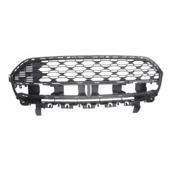 Grille de radiateur BLIC 6502-07-0538995Q