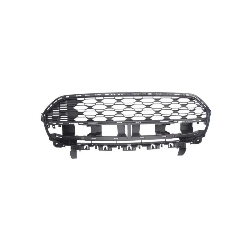 Grille de radiateur BLIC 6502-07-0538995Q