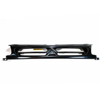 Grille de radiateur BLIC 6502-07-0550990P