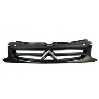 Grille de radiateur BLIC 6502-07-0550993P