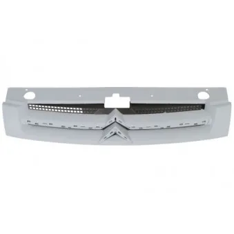 Grille de radiateur BLIC 6502-07-0551990P