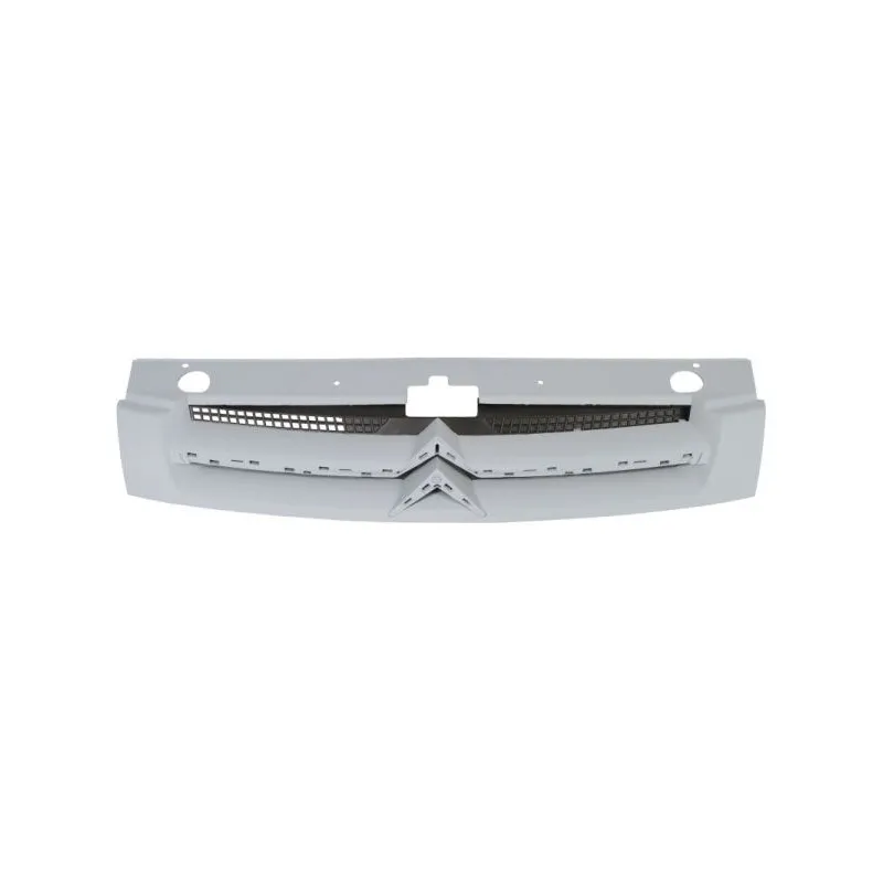 Grille de radiateur BLIC 6502-07-0551990P