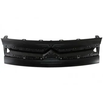 Grille de radiateur BLIC 6502-07-0552990P