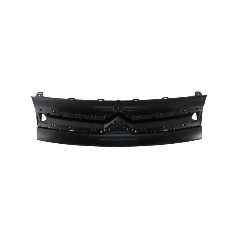 Grille de radiateur BLIC 6502-07-0552990P