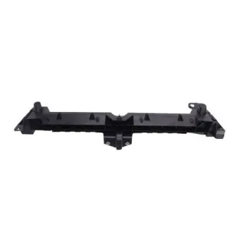 Support, grille de radiateur BLIC 6502-07-0552996P
