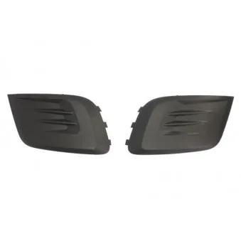 Grille de radiateur BLIC 6502-07-0554990Q