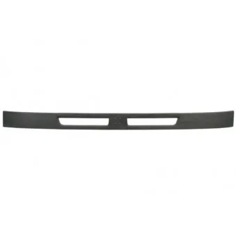 Grille de radiateur BLIC 6502-07-0566990P