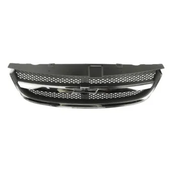 Grille de radiateur BLIC 6502-07-1132990P
