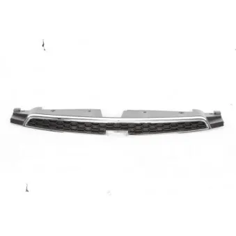 Grille de radiateur BLIC 6502-07-1133990P
