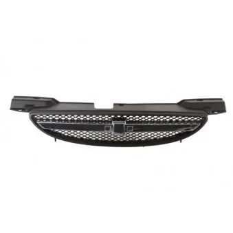 Grille de radiateur BLIC 6502-07-1135991P