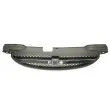 Grille de radiateur BLIC 6502-07-1135991P - Visuel 2