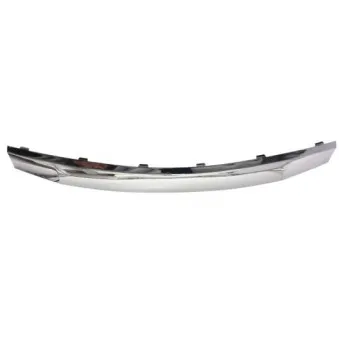 Baguette et bande protectrice, grille de radiateur BLIC 6502-07-1302991P