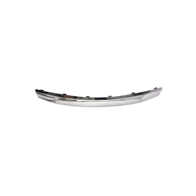 Baguette et bande protectrice, grille de radiateur BLIC 6502-07-1302991P