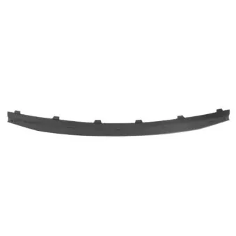 Baguette et bande protectrice, grille de radiateur BLIC 6502-07-1302992P