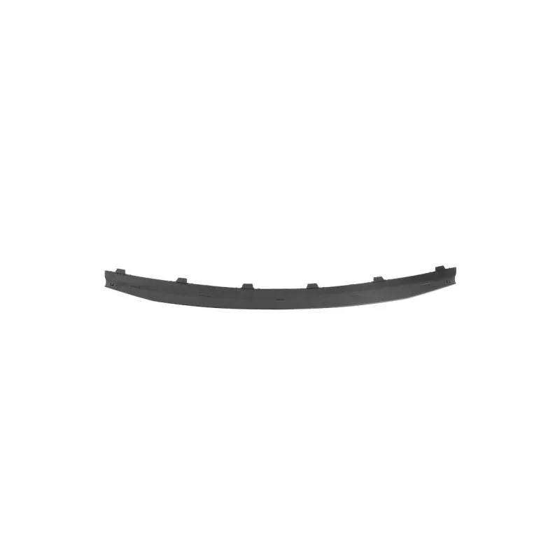 Baguette et bande protectrice, grille de radiateur BLIC 6502-07-1302992P
