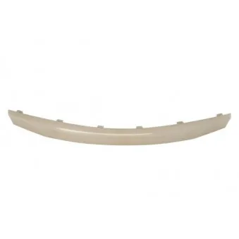 Baguette et bande protectrice, grille de radiateur BLIC 6502-07-1302993P