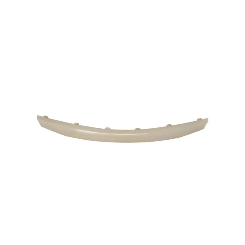 Baguette et bande protectrice, grille de radiateur BLIC 6502-07-1302993P
