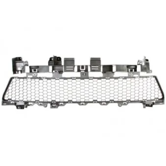 Grille de ventilation, pare-chocs BLIC 6502-07-1303910P