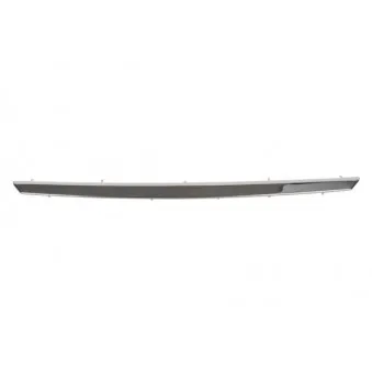 Baguette et bande protectrice, grille de radiateur BLIC 6502-07-1303992P