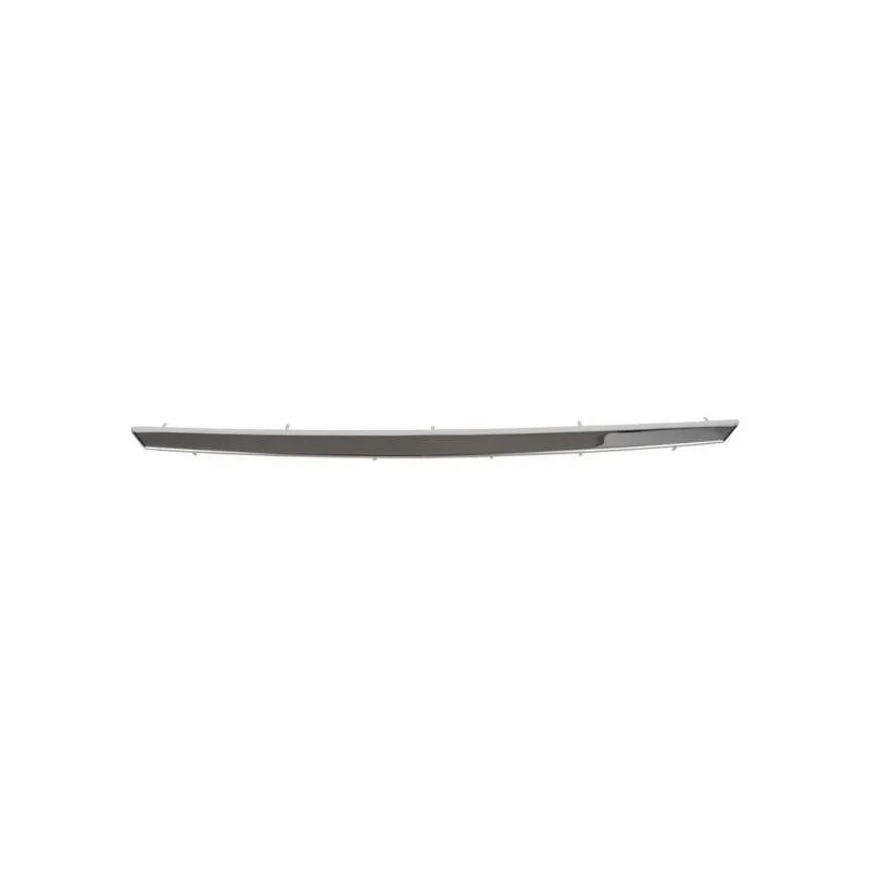 Baguette et bande protectrice, grille de radiateur BLIC 6502-07-1303992P