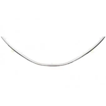 Baguette et bande protectrice, grille de radiateur BLIC 6502-07-1303995P