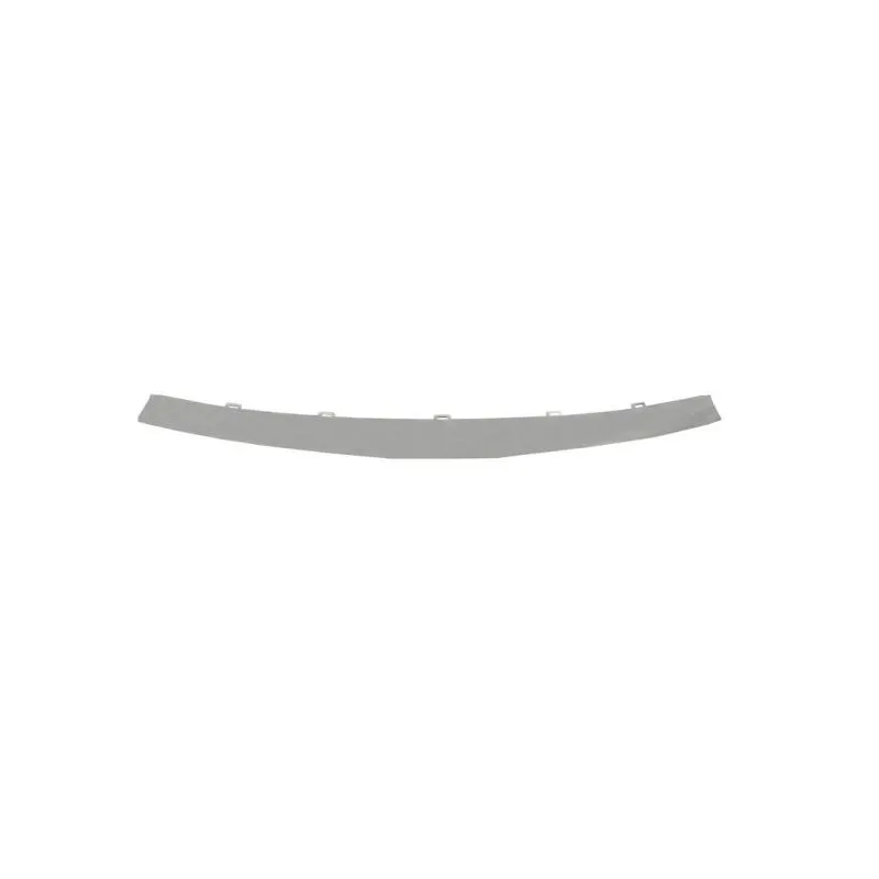 Baguette et bande protectrice, grille de radiateur BLIC 6502-07-1310991P