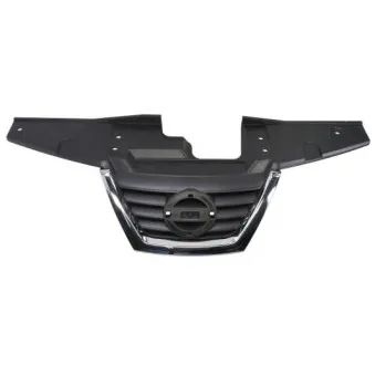 Grille de radiateur BLIC 6502-07-1601990P