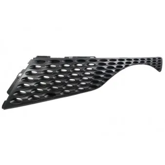Grille de radiateur BLIC 6502-07-1601991P
