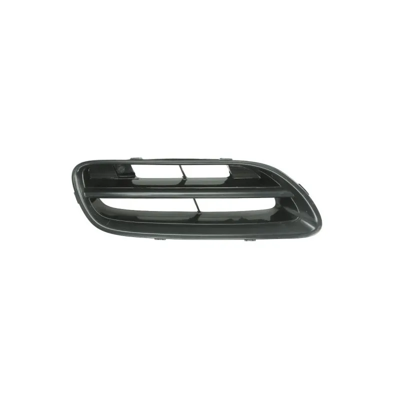 Grille de radiateur BLIC 6502-07-1608994P
