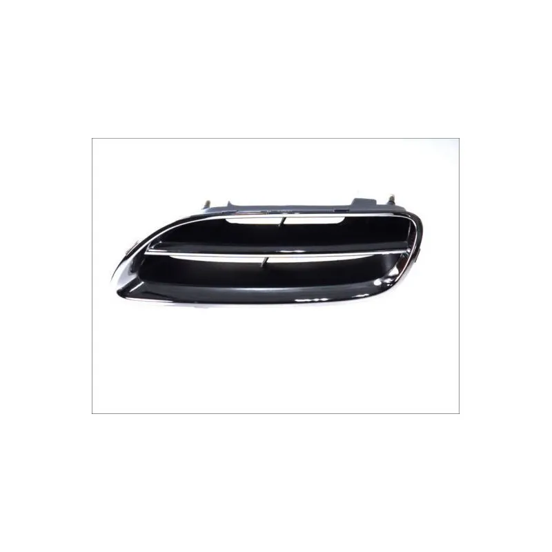 Grille de radiateur BLIC 6502-07-1608995P