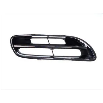 Grille de radiateur BLIC 6502-07-1608996P